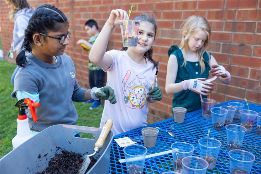 Students plant seeds